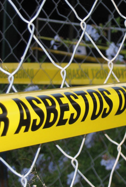 Asbestos management