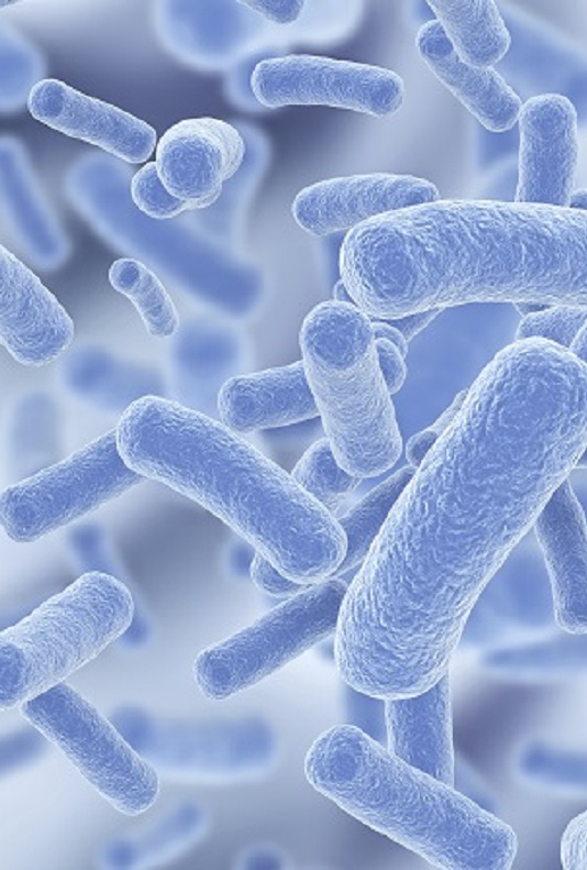 Legionella