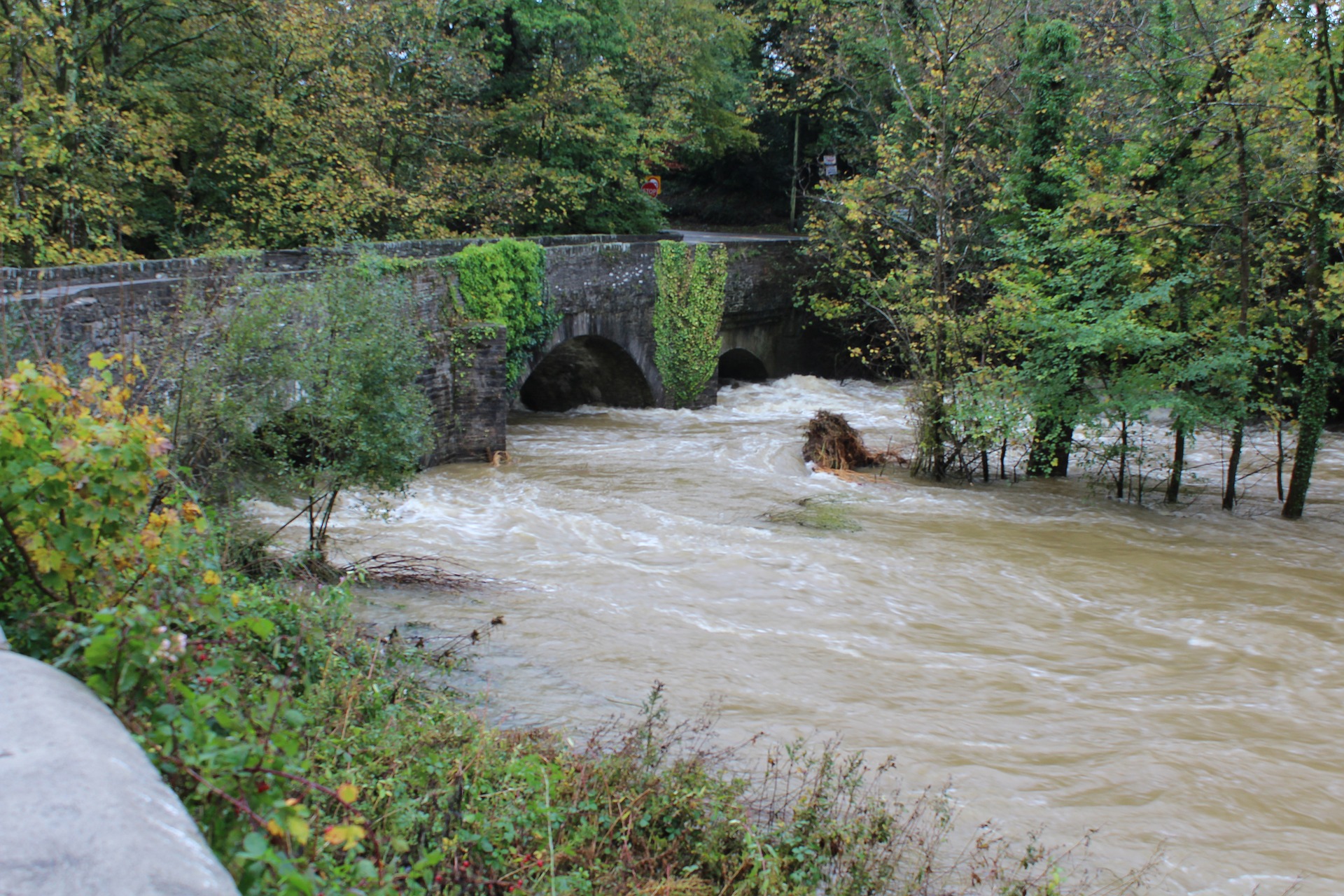 wales-3764167_1920.jpg