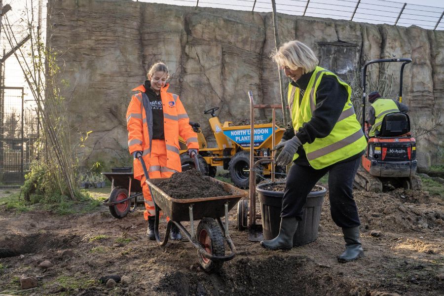 Paradise Park - Ellie Planting