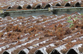 asbestos cement