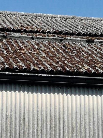 cement on roof