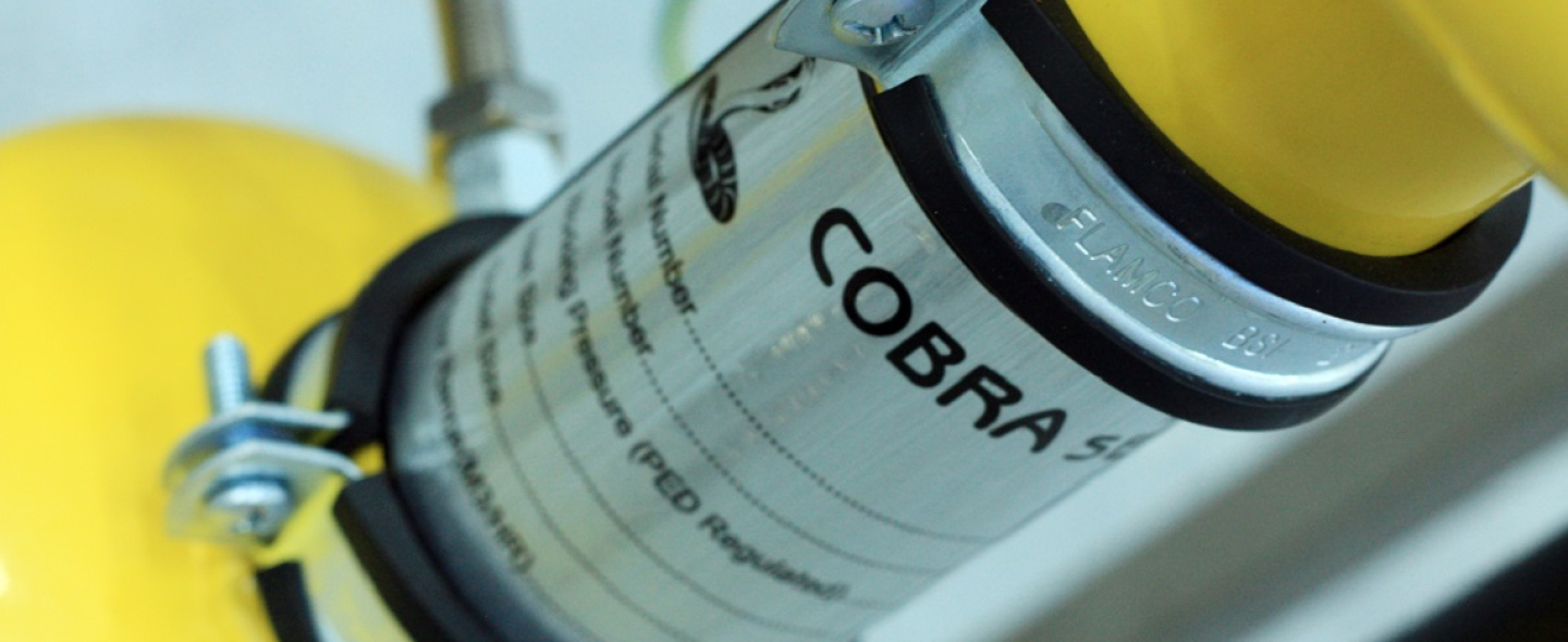 Cobra cyclone filter and separator